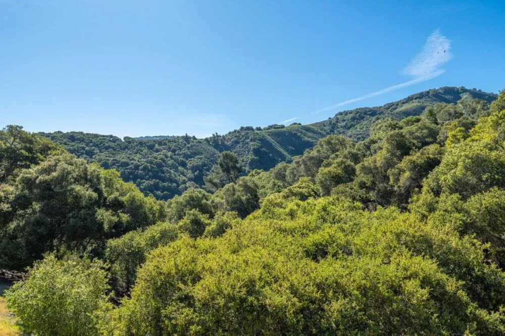 245 Calle De Los Agrinemsors Carmel Valley, CA 93924