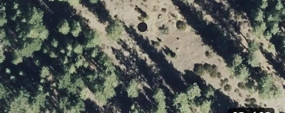 976 Moon Shadow Portola, CA 96122