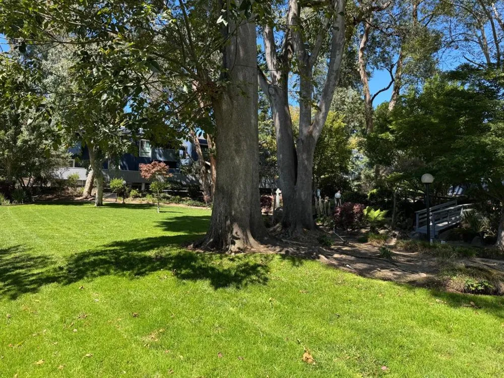 133 Piccadilly Place #H San Bruno, CA 94066