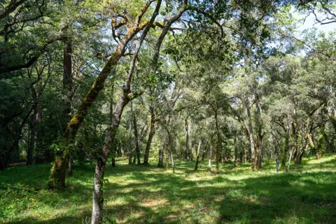35000 Robinson Canyon Road