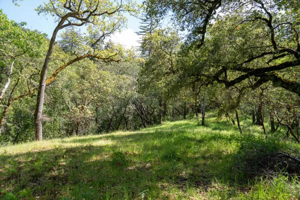 35000 Robinson Canyon Road Carmel, CA 93923