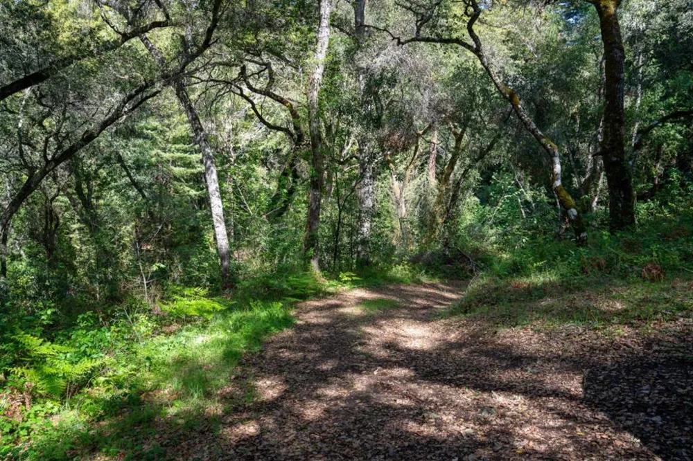 35000 Robinson Canyon Road Carmel, CA 93923