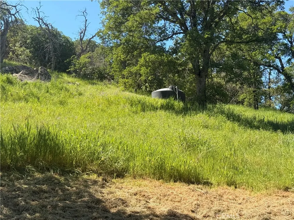 2877 Trower Catheys Valley, CA 95306