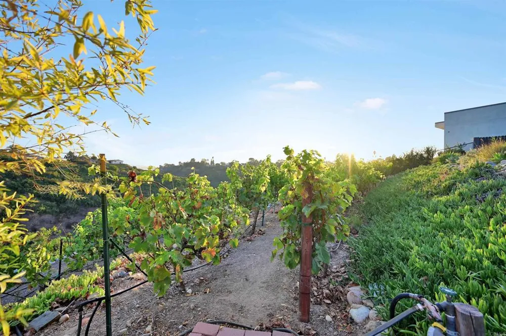 3811 Hiawatha Way San Diego, CA 92117