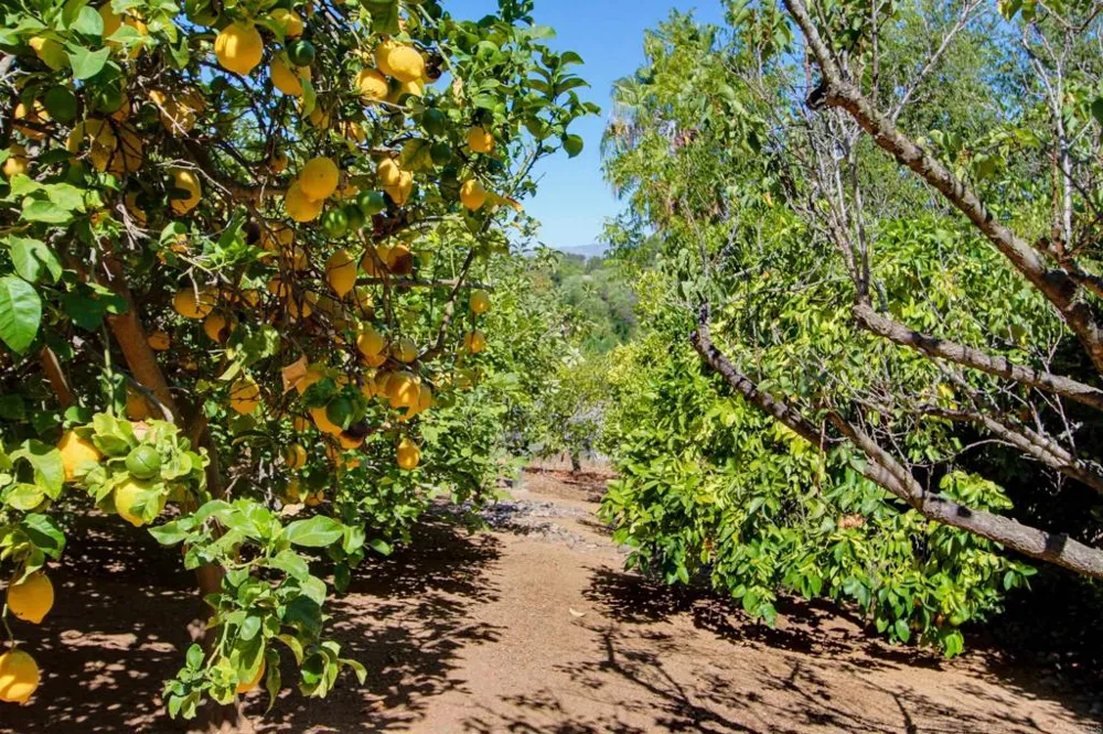 2202 Crest Hill Lane Fallbrook, CA 92028