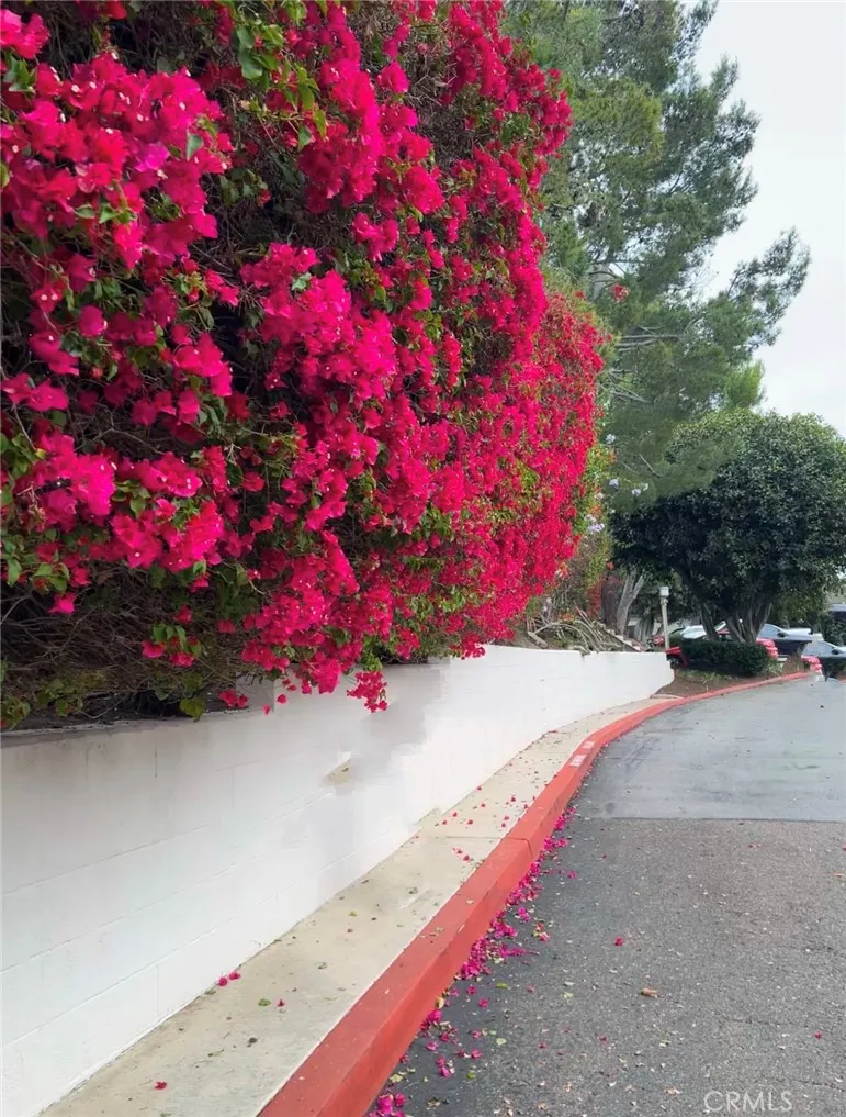 67 Sea Island Drive Newport Beach, CA 92660