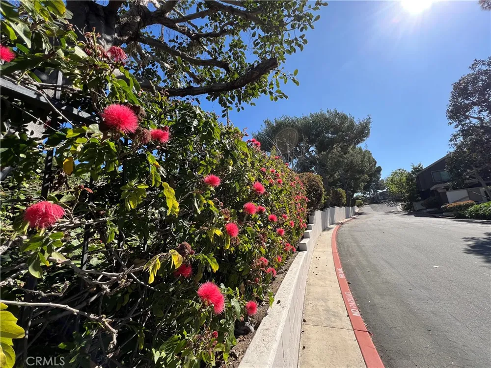 67 Sea Island Drive Newport Beach, CA 92660