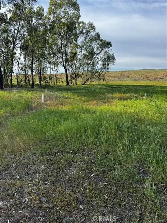 Coyote Chico, CA 95928