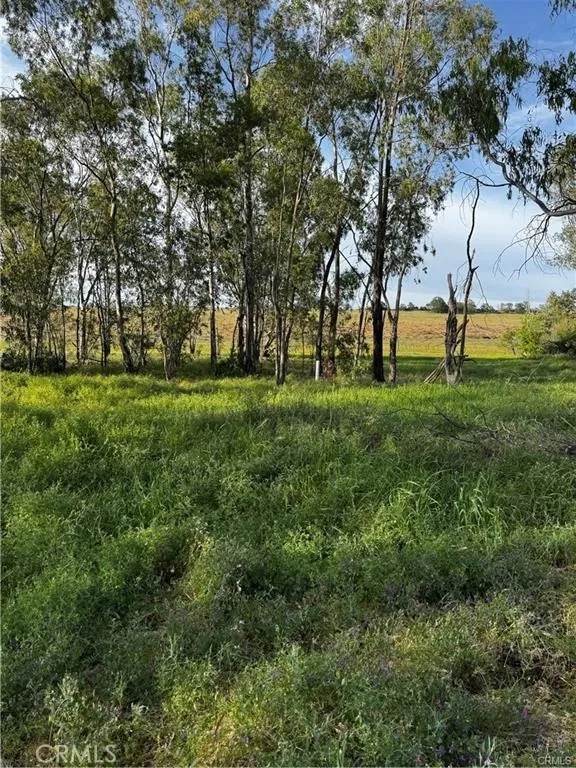 Coyote Chico, CA 95928