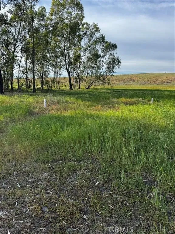 Coyote Chico, CA 95928