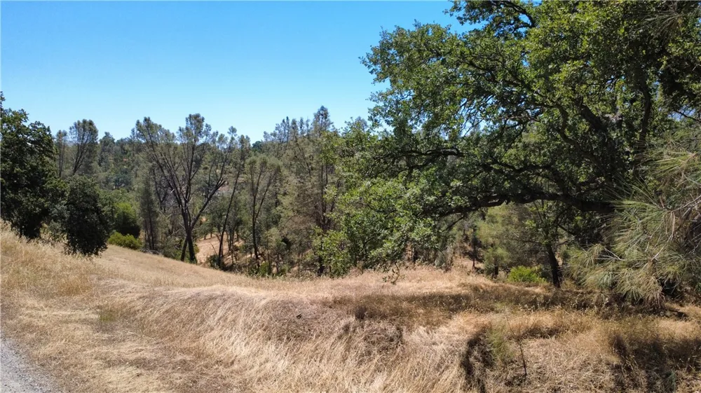 16615 Mallard Corning, CA 96021