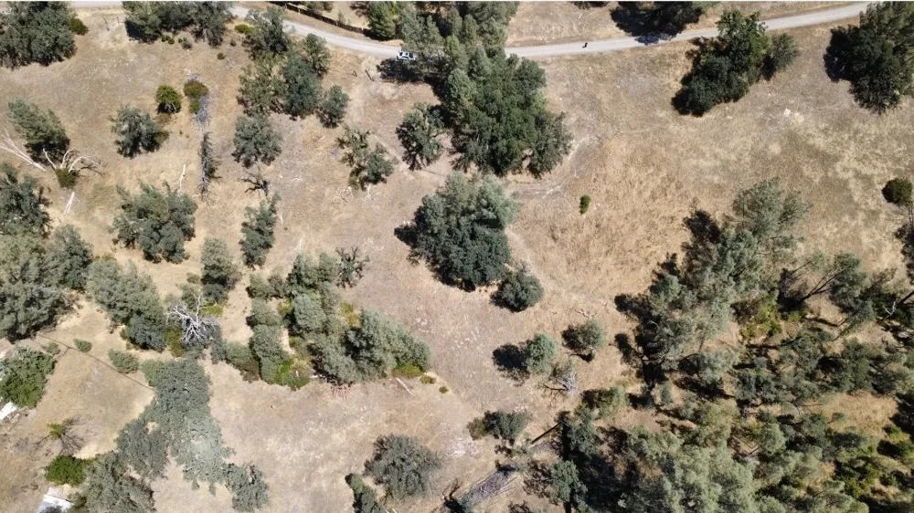 16615 Mallard Corning, CA 96021