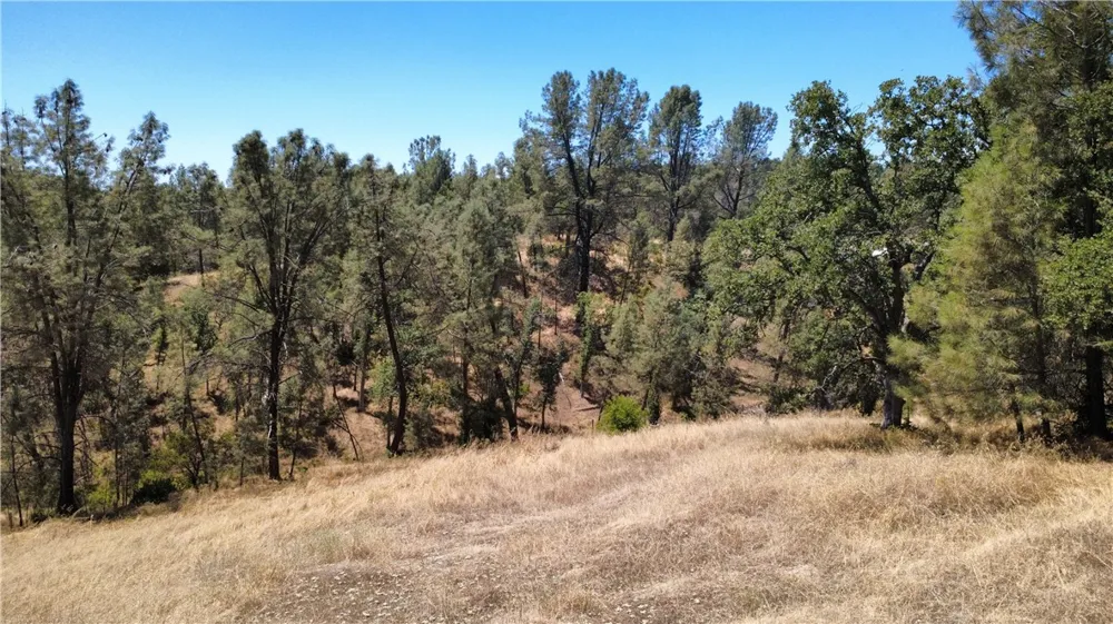 16615 Mallard Corning, CA 96021