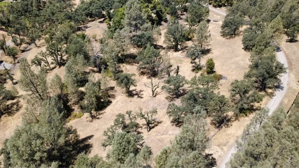 16615 Mallard Corning, CA 96021