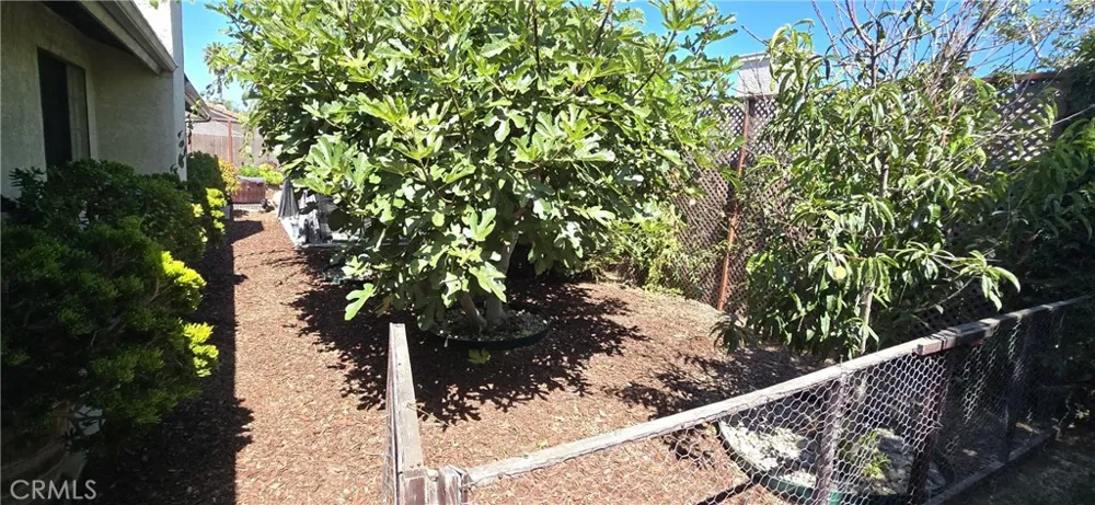 509 Colbert Drive Lompoc, CA 93436