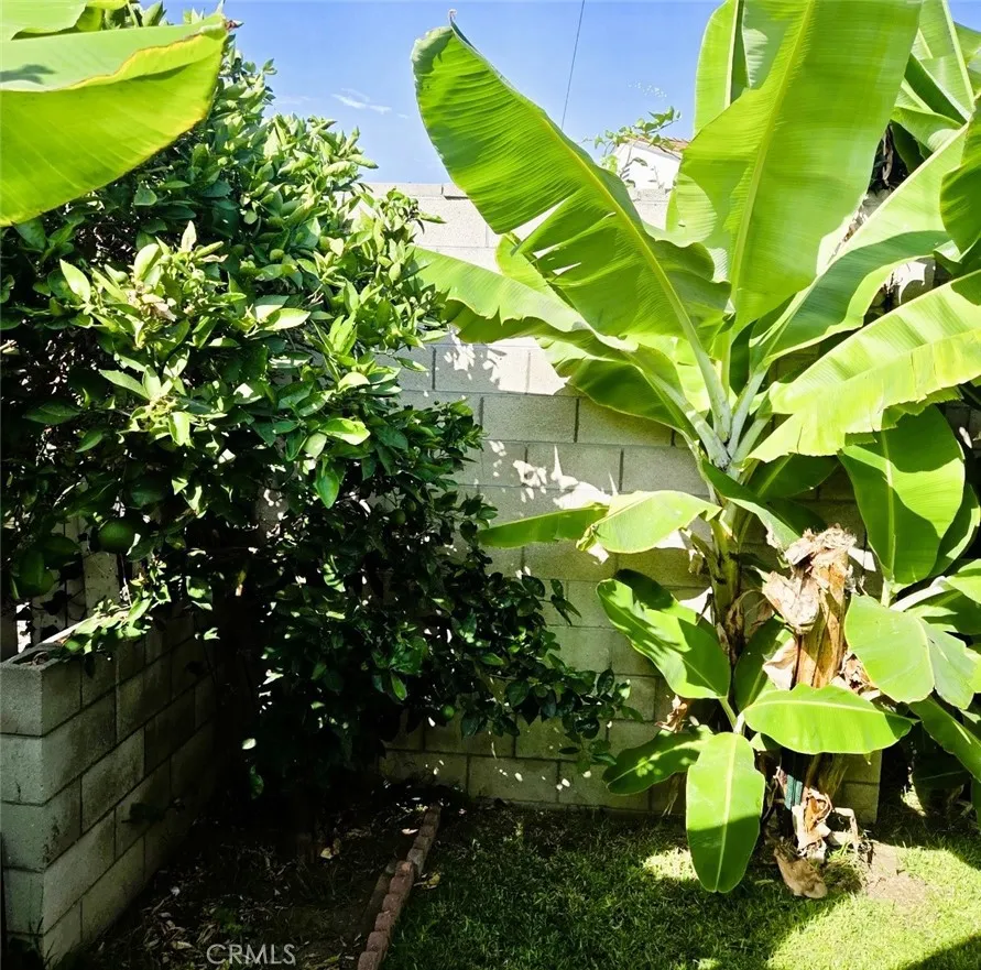 14730 Starpath La Mirada, CA 90638