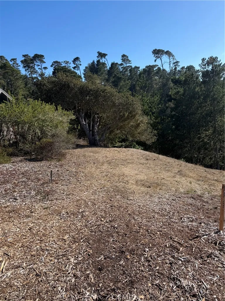3123 Rogers Cambria, CA 93428