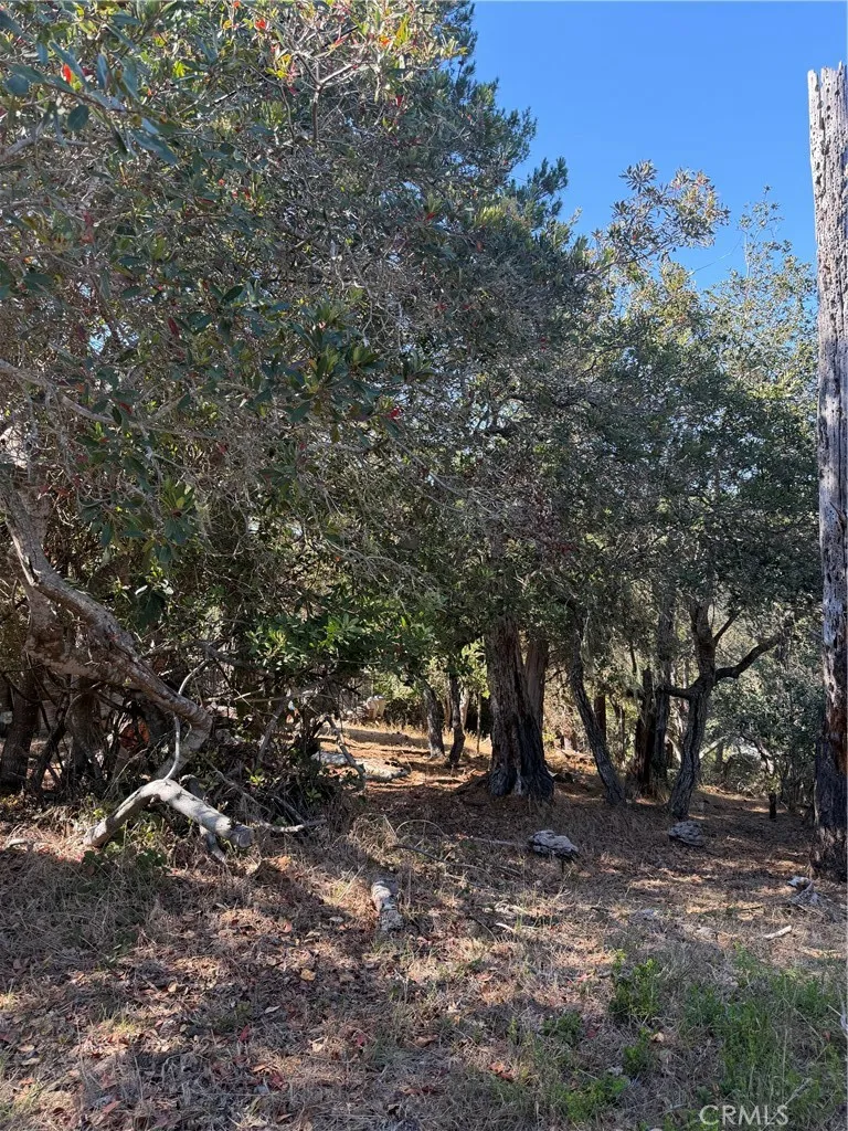 Melrose Cambria, CA 93428