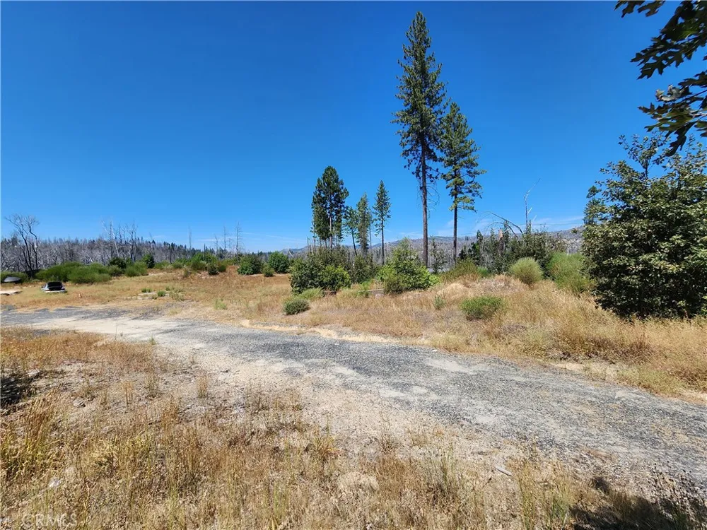 1145 Bald Rock Berry Creek, CA 95916