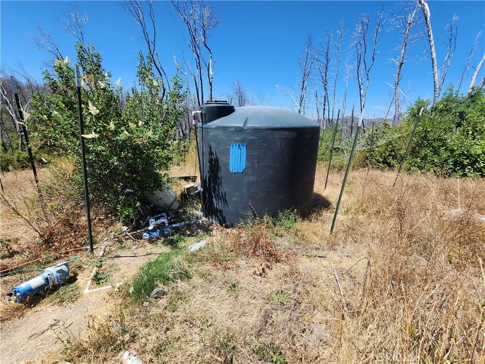 1145 Bald Rock Berry Creek, CA 95916
