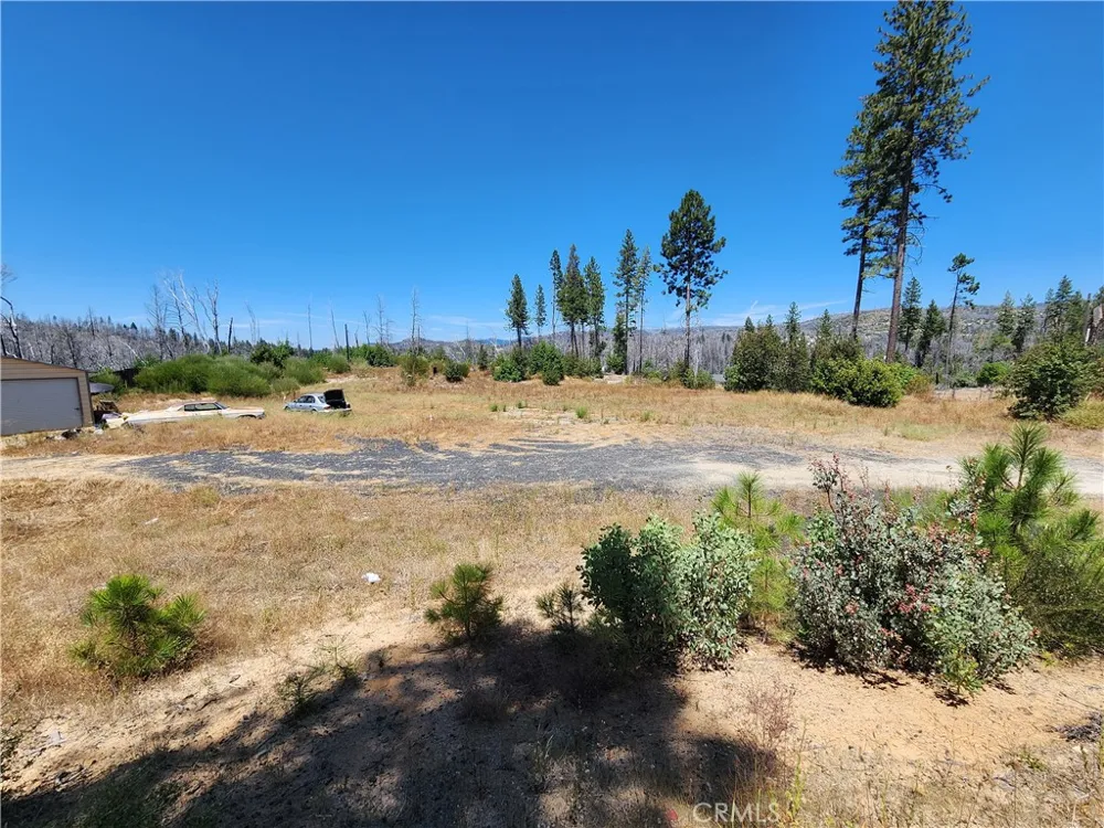 1145 Bald Rock Berry Creek, CA 95916