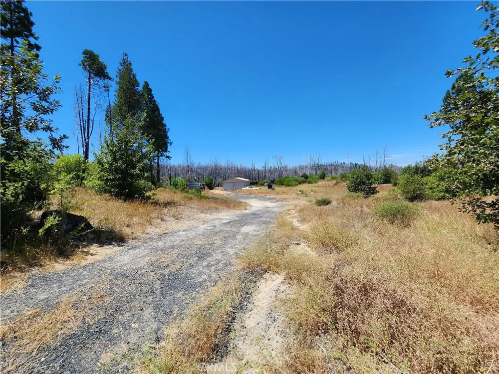 1145 Bald Rock Berry Creek, CA 95916