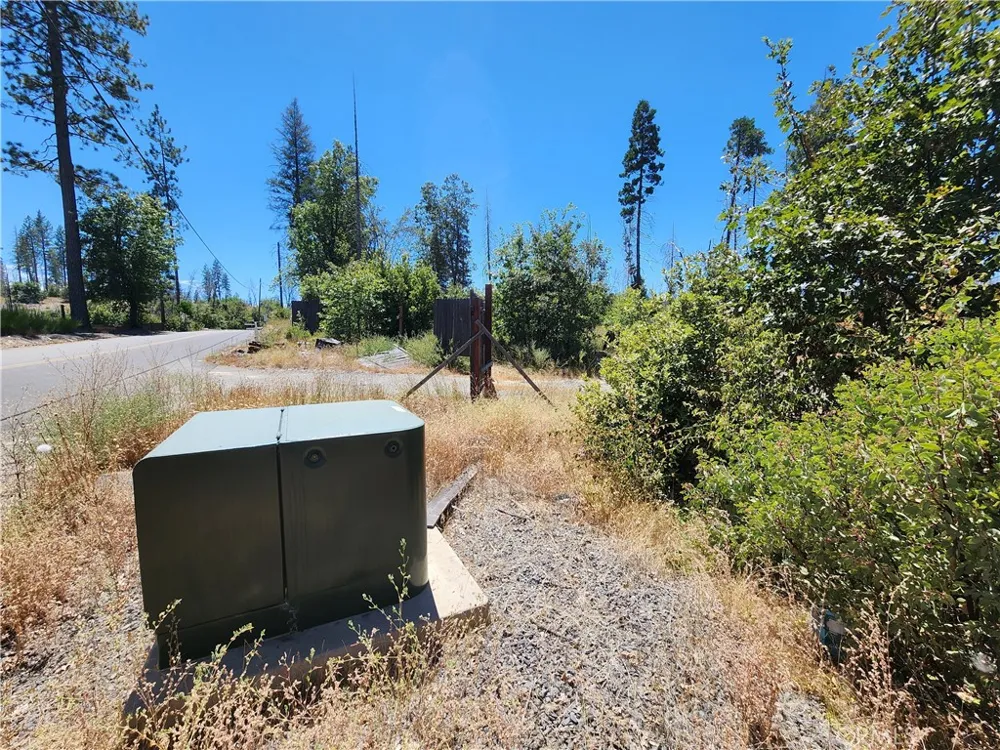 1145 Bald Rock Berry Creek, CA 95916