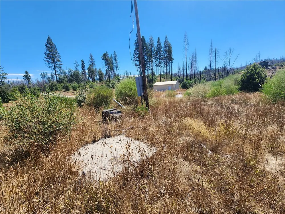 1145 Bald Rock Berry Creek, CA 95916
