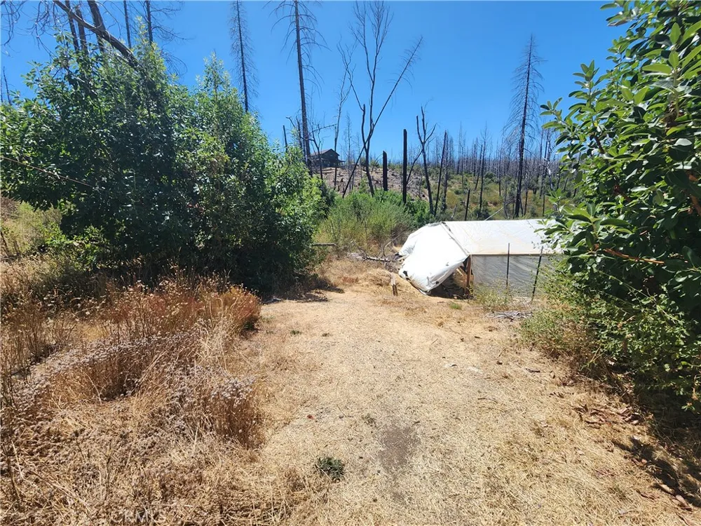 1145 Bald Rock Berry Creek, CA 95916