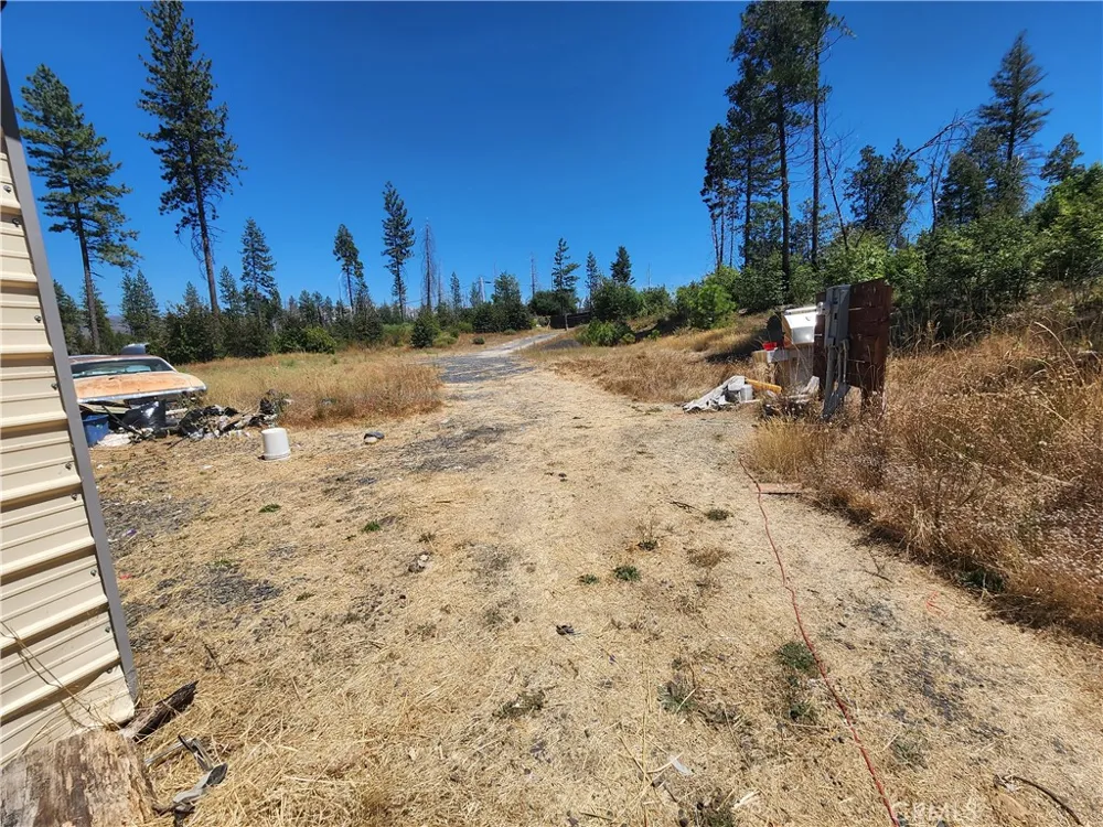 1145 Bald Rock Berry Creek, CA 95916