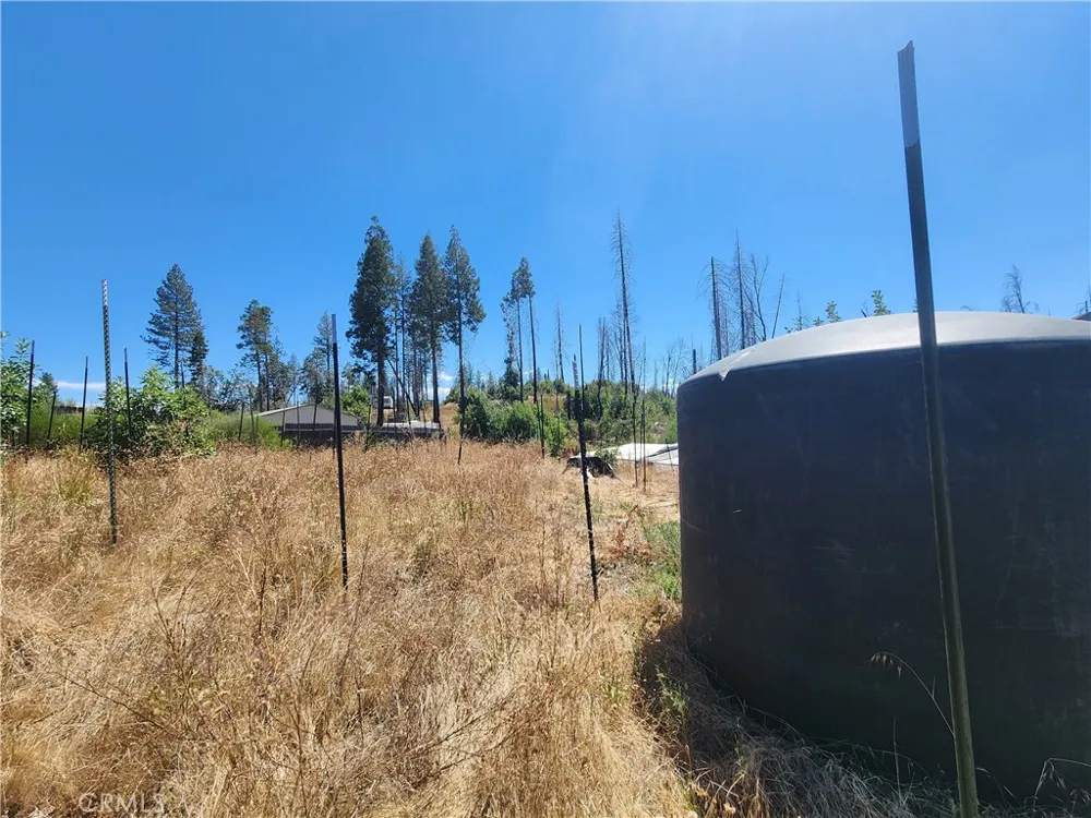 1145 Bald Rock Berry Creek, CA 95916