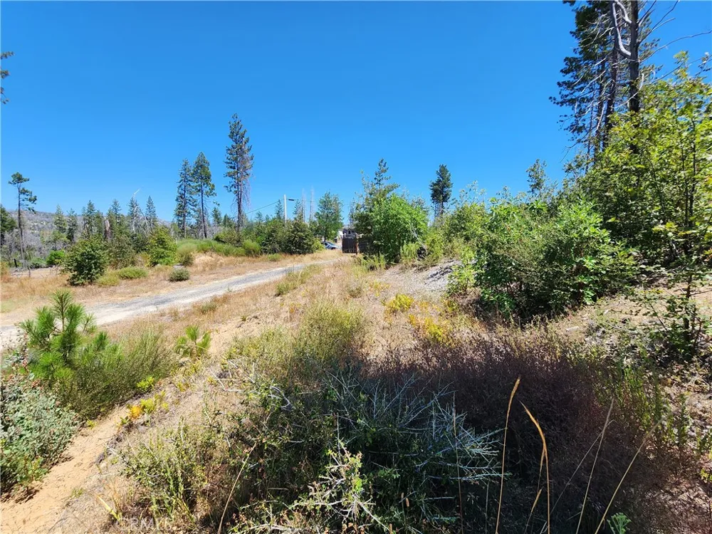 1145 Bald Rock Berry Creek, CA 95916