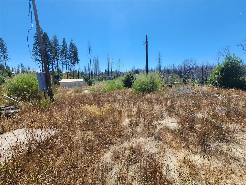 1145 Bald Rock Berry Creek, CA 95916