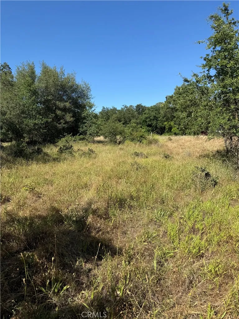 5037 Caroline Oroville, CA 95966