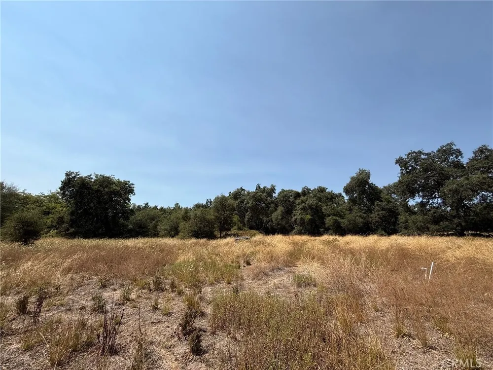 5037 Caroline Oroville, CA 95966