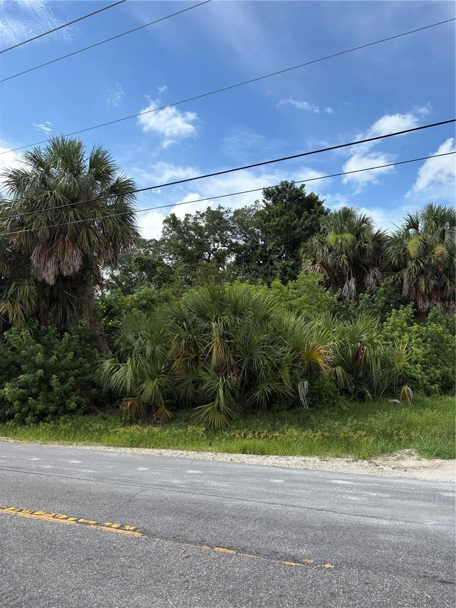 18383 BURKHOLDER CIRCLE Port Charlotte, FL 33948