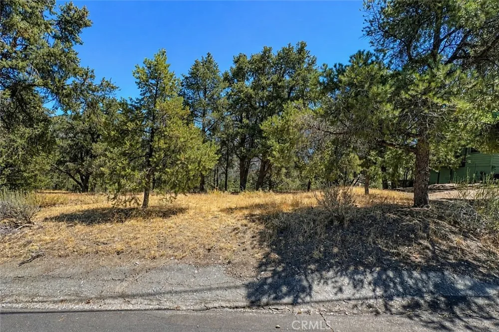 2404 Tirol Drive Pine Mountain Club, CA 93222