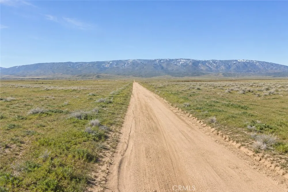 Kingbird Avenue Rosamond, CA 93243
