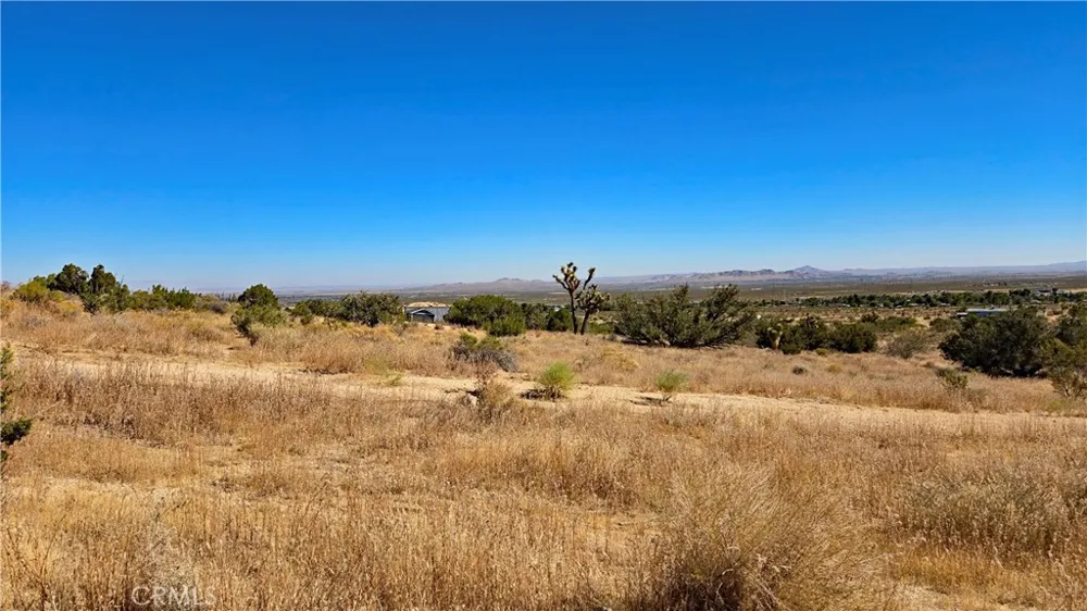 Cor Avenue W8 & 123rd St E Pearblossom, CA 93553