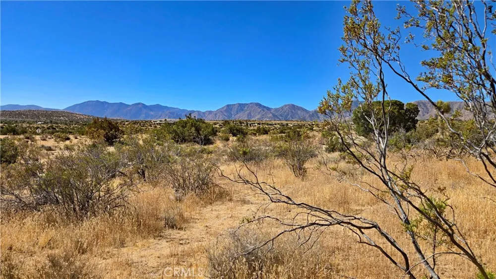 Cor Avenue W8 & 123rd St E Pearblossom, CA 93553