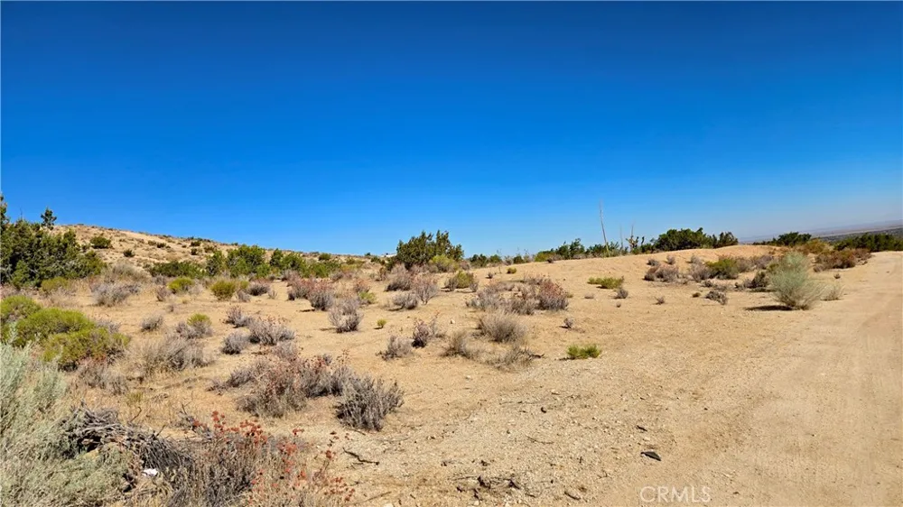 Cor Avenue W8 & 123rd St E Pearblossom, CA 93553