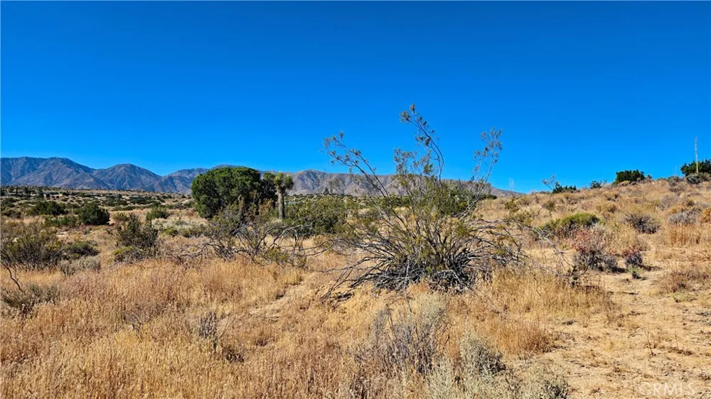 Cor Avenue W8 & 123rd St E Pearblossom, CA 93553