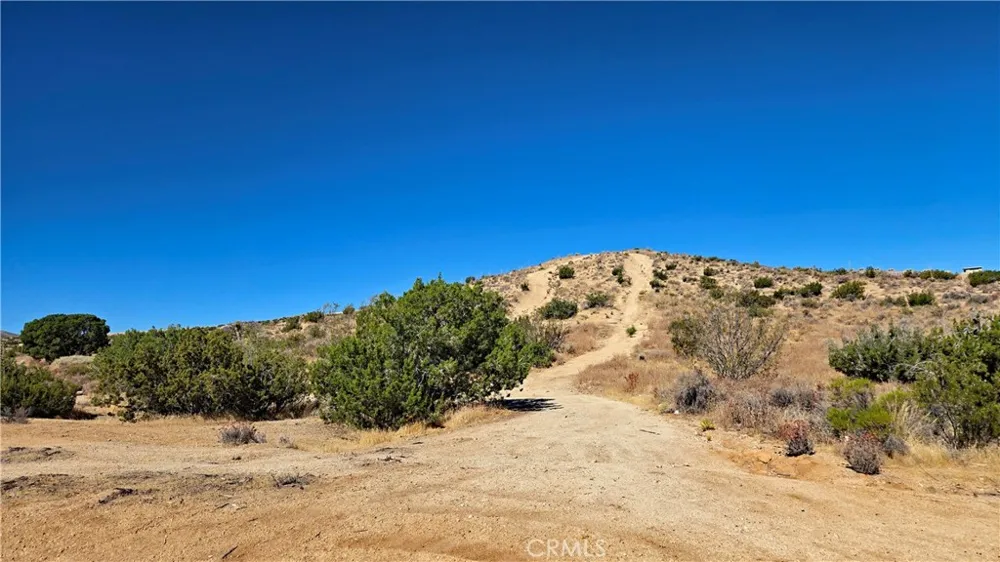 Cor Avenue W8 & 123rd St E Pearblossom, CA 93553