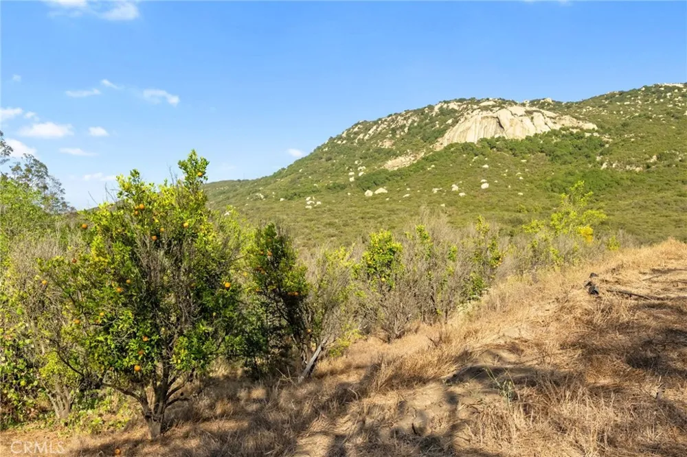 Camino Gazapo Temecula, CA 92590