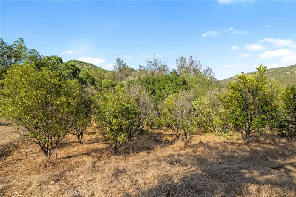 Camino Gazapo Temecula, CA 92590