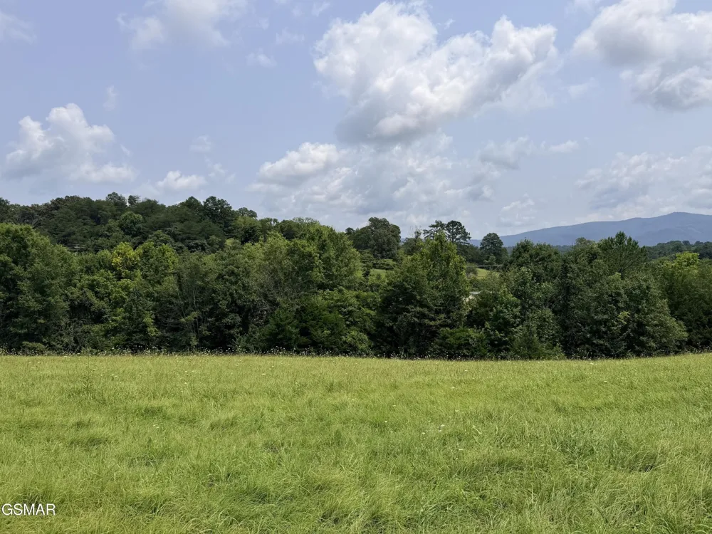 1665 Cosby Highway Newport, TN 37821