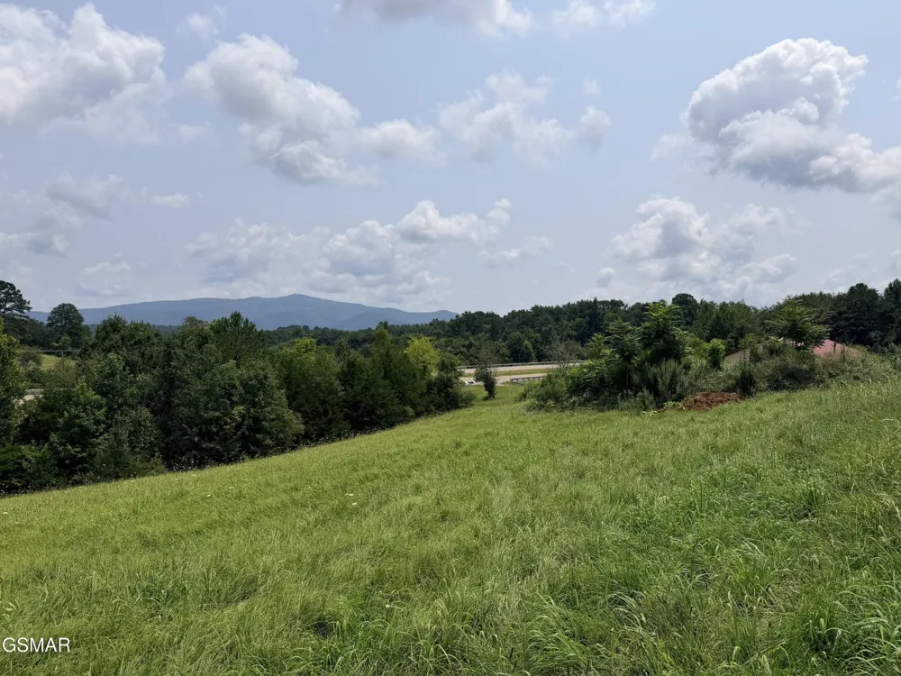 1665 Cosby Highway Newport, TN 37821