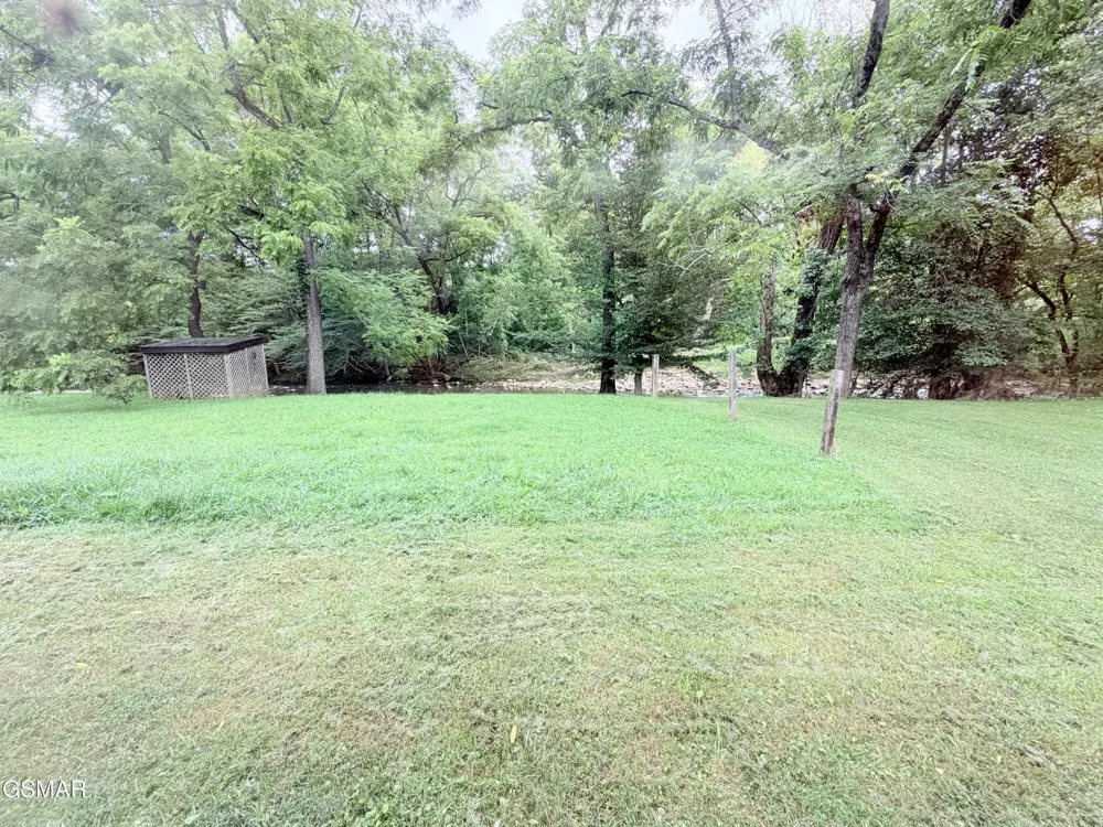 675 Catnip Road Del Rio, TN 37727