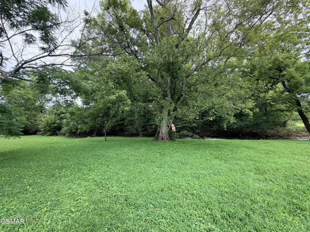 675 Catnip Road Del Rio, TN 37727