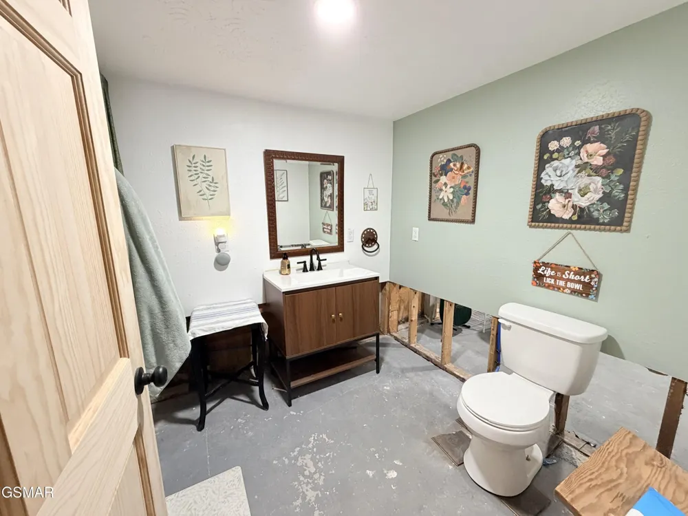 675 Catnip Road Del Rio, TN 37727